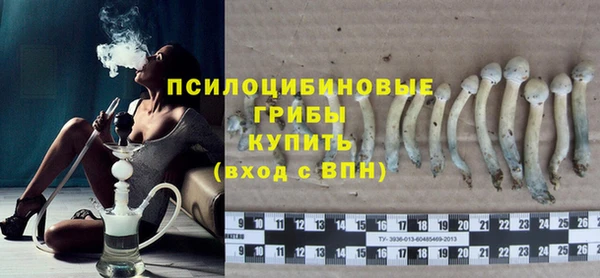 прущие грибы Армянск