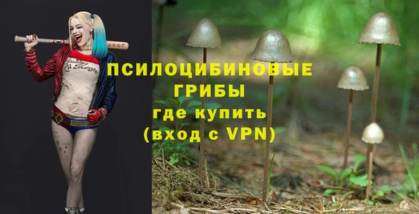 прущие грибы Армянск