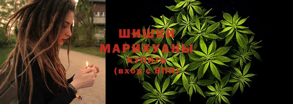 прущие грибы Армянск