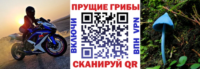 Псилоцибиновые грибы прущие грибы omg рабочий сайт Светлоград
