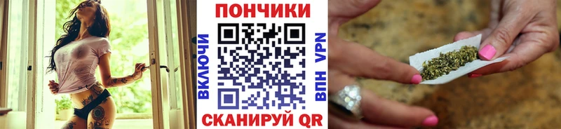 Шишки марихуана планчик  как найти закладки  Светлоград 